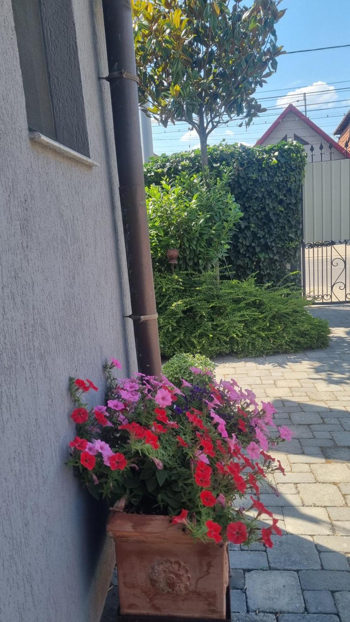 Travel La Casa Piano House,cu Parcare דירה